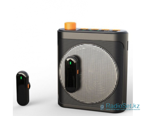 Беспроводная система громкоговоритель 25H